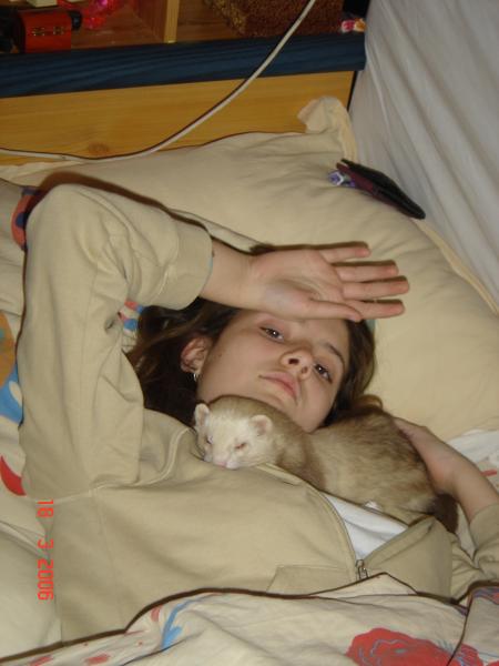 Tout le monde au lit